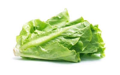 Lechuga